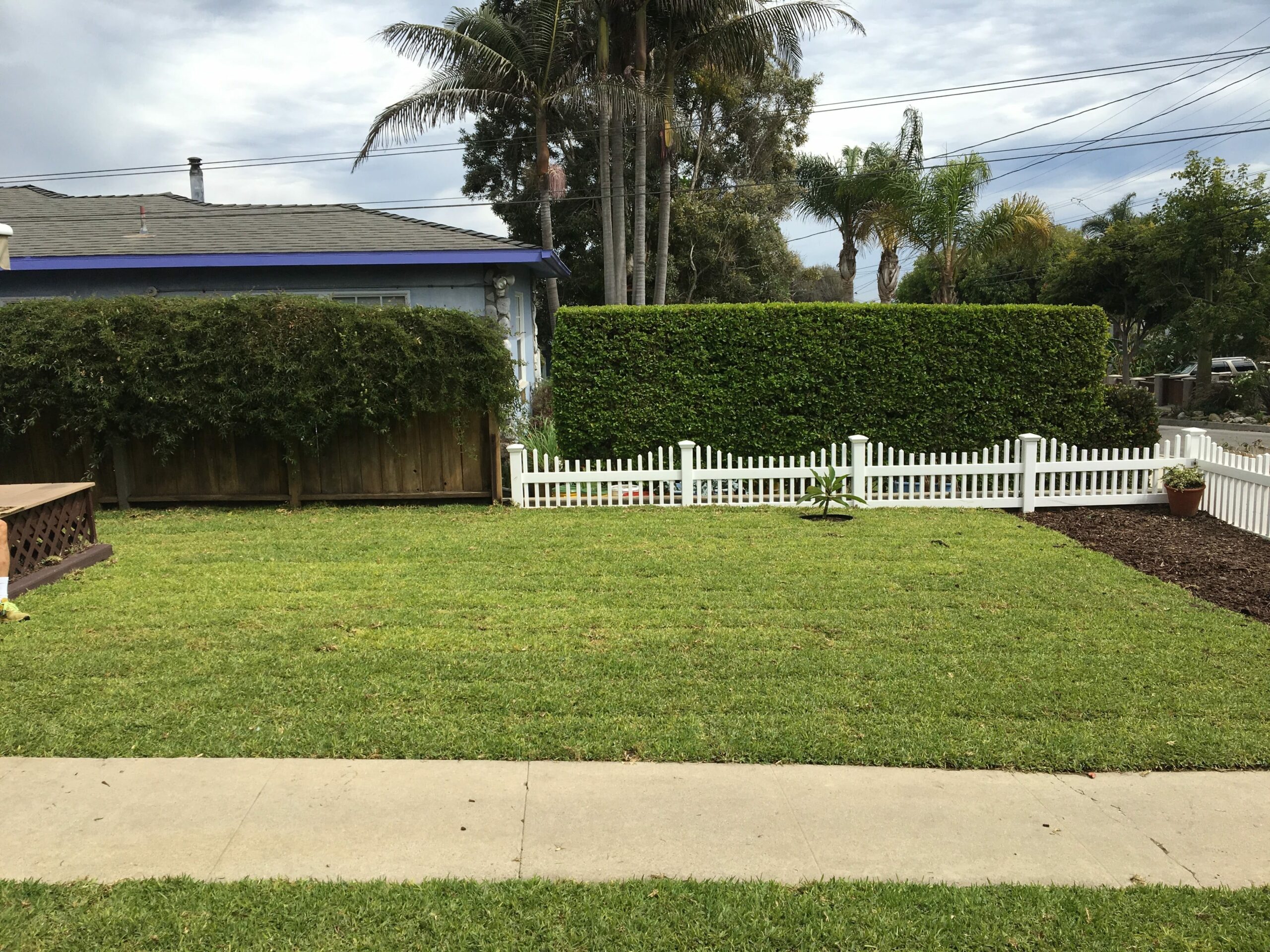 Yard Landscaping